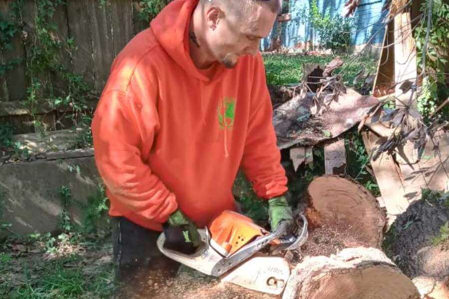 Tree Service in Bonham, TX Tree Service