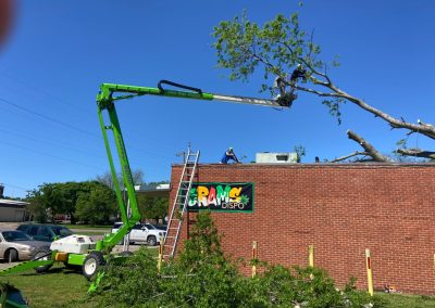 Affordable Tree Specialists