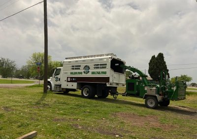 Efficient Tree Specialists