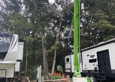 Reliable Tree Specialists