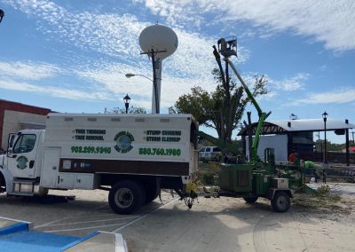 Specialized Tree Specialists