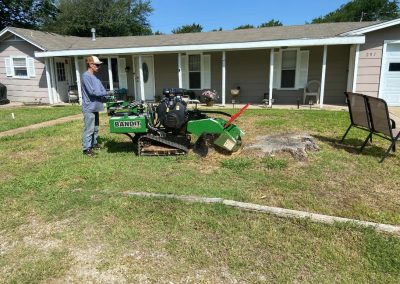 Trusted Local Tree Specialists