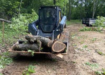 Trusted Tree Experts